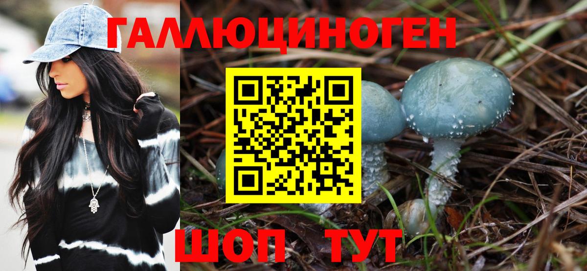 Галлюциногенные грибы мицелий Белая Калитва